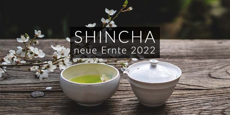 SHINCHA 2022