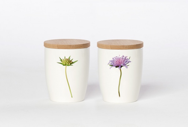 Wildblumen-Becher & Aufbewahrung Motiv Ackerblume von Simply Flowers, 240ml